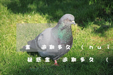 金東逾期多久會(huì)收法院傳票，解答疑惑：金東逾期多久會(huì)收到法院傳票？
